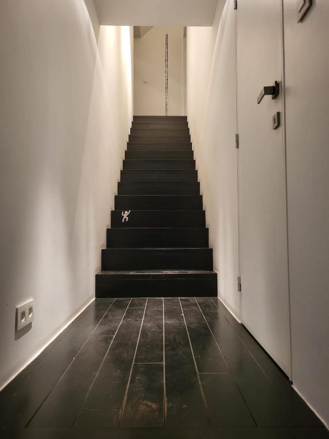 Gezellige Moderne Woning Met Zwemvijver Halle  Εξωτερικό φωτογραφία